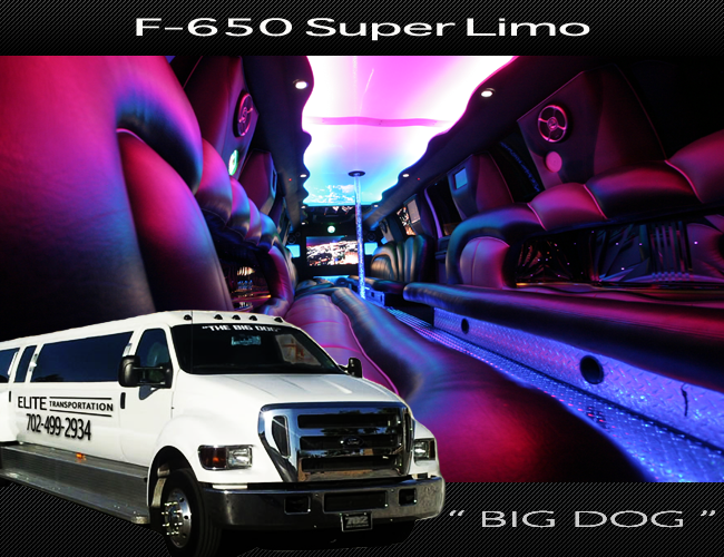 BIG-DOG-f-650-limo